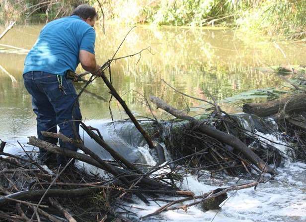 Can Region officials have open, honest discussions about flood of issues? 'We have a lot of work to do'